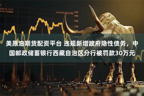 美原油期货配资平台 违规新增政府隐性债务，中国邮政储蓄银行西藏自治区分行被罚款30万元