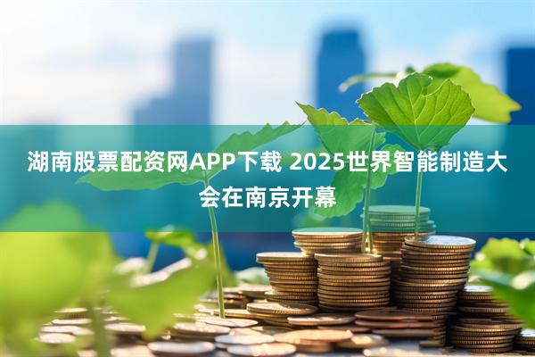 湖南股票配资网APP下载 2025世界智能制造大会在南京开幕