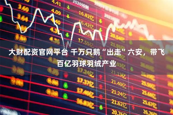 大财配资官网平台 千万只鹅“出走”六安，带飞百亿羽球羽绒产业