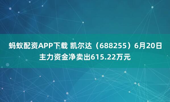 蚂蚁配资APP下载 凯尔达（688255）6月20日主力资金净卖出615.22万元